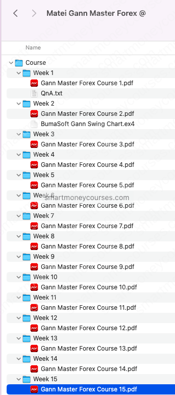 Matei – Gann Master Forex Course 2023 - Image 5