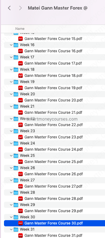 Matei – Gann Master Forex Course 2023 - Image 4