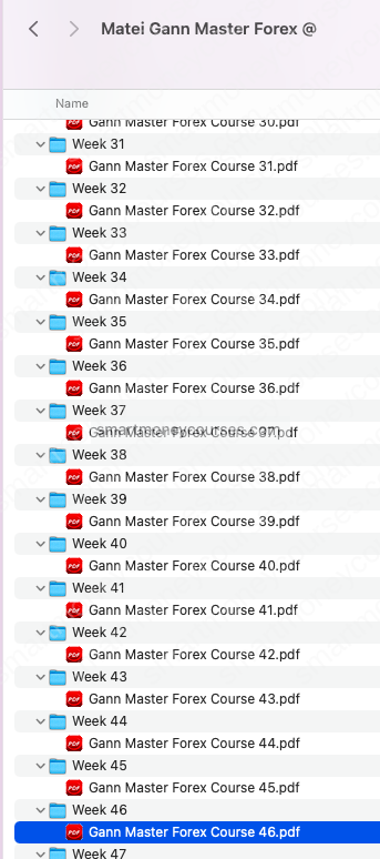 Matei – Gann Master Forex Course 2023 - Image 3