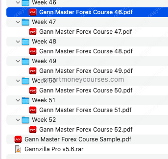 Matei – Gann Master Forex Course 2023 - Image 2